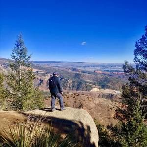 Meet your Posher, Joey